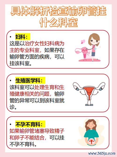 不孕不育症专业咨询解答与诊疗服务