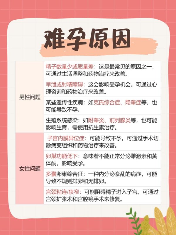 不孕医生专研生育难题 科学助孕方案解析