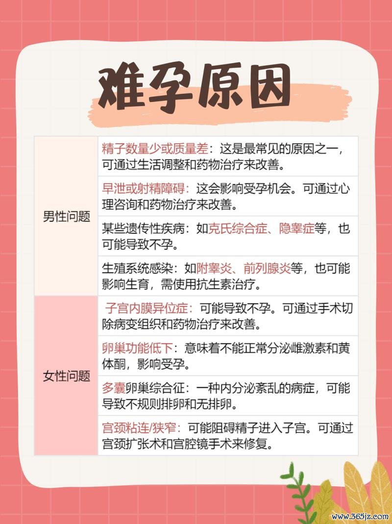 不孕医生专研生育难题 科学助孕方案解析