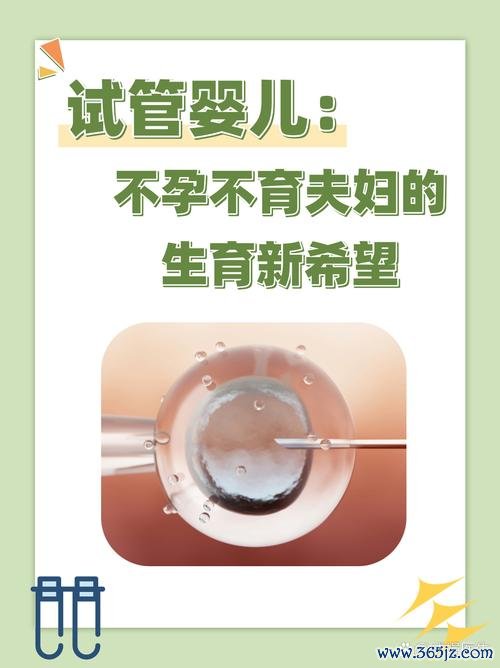 不孕咨询平台专业解答生育难题